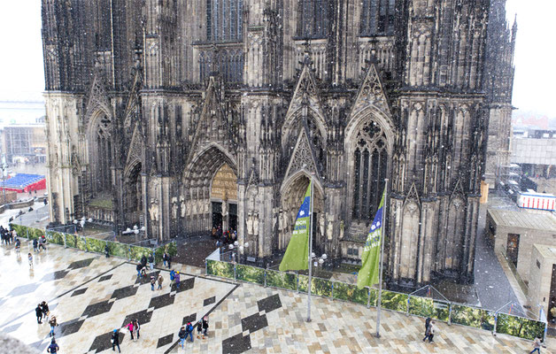 Embassy of Trees,Klimakunst, Fotoinstallation vor dem Weltkulturerbe Kölner Dom, ©Ellen Bornkessel