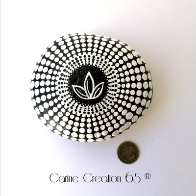 Lotus - 30€