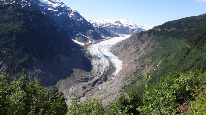 Der wunderschöne Salmon  Glacier