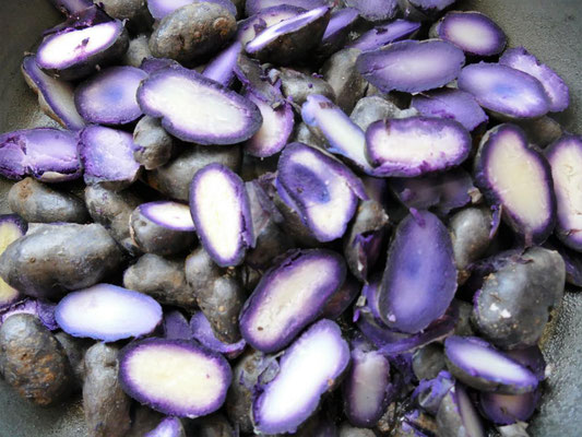 Bratkartoffeln einmal anders.violett und lila,aber sehr lecker