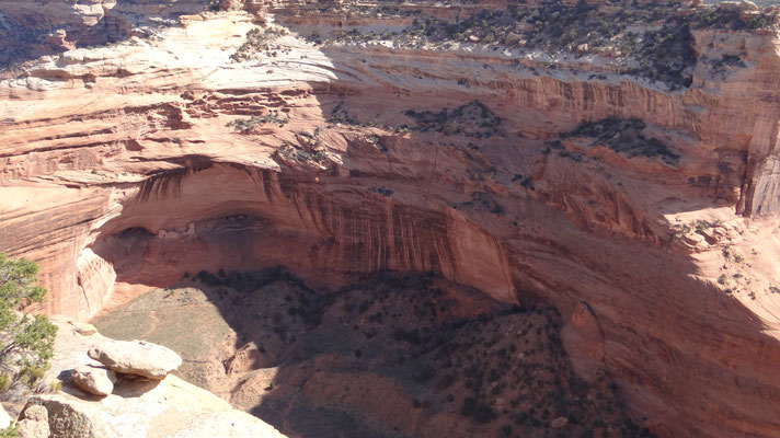 Cliff Dwellings im Canyon del Muerto
