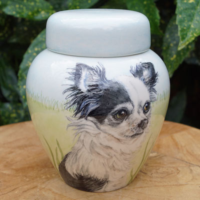 persoonlijke-urn-hond-laten-maken-bijzondere-honden-urn-voor-hond-handbeschilderde-dieren-urnen-voor-honden-urn-laten-maken-bijzondere-dieren-urnen-persoonlijke-urn-chihuahua-urn-voor-hond-unieke-urn-voor-dieren-hondenurn-laten-maken-mooiste-urn 