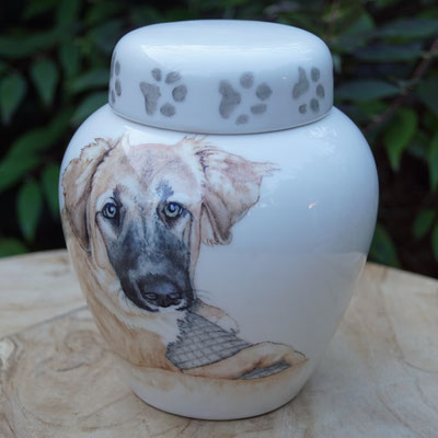 urn-hond-met-naam-unieke-dierenurnen-hond-maatwerk-urnen-voor-dieren-urnen-voor-huisdieren-unieke-dieren-urnen-handbeschilderde-urnen-maatwerk-urn-dier-persoonlijke-urn-laten-maken-bijzondere-dierenurnen-honden-urnen-voor-honden-urn-met-portret-hond