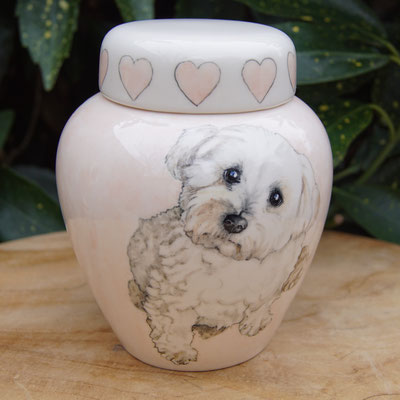 unieke-dieren-urnen-voor-dieren-urn-hond-met-foto-urn-voor-honden-urnen-voor-huisdieren-urn-hond-met-naam-hand-beschilderde-urnen-handgeschilderde-urn-hond-laten-maken-persoonlijke-urn-maltezer-urn-persoonlijke-urnen-bijzondere-urnen-bijzondere-dieren-urn