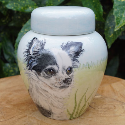 persoonlijke-urn-hond-laten-maken-bijzondere-honden-urn-voor-hond-handbeschilderde-dieren-urnen-voor-honden-urn-laten-maken-bijzondere-dieren-urnen-persoonlijke-urn-chihuahua-urn-voor-hond-unieke-urn-voor-dieren-hondenurn-laten-maken-mooiste-urn 