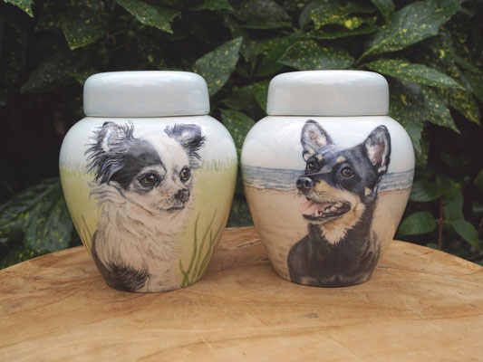 persoonlijke-urn-hond-laten-maken-bijzondere-honden-urn-voor-hond-handbeschilderde-dieren-urnen-voor-honden-urn-laten-maken-bijzondere-dieren-urnen-persoonlijke-urn-lancashire-heeler-urn-voor-hond-unieke-urn-voor-dieren-hondenurn-laten-maken-mooiste-urn