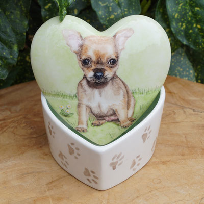 persoonlijke-urn-hond-hart-persoonlijke-urn-chihuahua-persoonlijke-urn-laten-maken-persoonlijke-dierenurn-chihuahua-handbeschilderde-dieren-urn-laten-maken-maatwerk-urn-maatwerk-urnen-voor-honden-urnen-voor-honden-urn-bijzondere-urnen-voor-huisdieren-urn