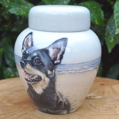 persoonlijke-urn-hond-laten-maken-bijzondere-honden-urn-voor-hond-handbeschilderde-dieren-urnen-voor-honden-urn-laten-maken-bijzondere-dieren-urnen-persoonlijke-urn-lancashire-heeler-urn-voor-hond-unieke-urn-voor-dieren-hondenurn-laten-maken-mooiste-urn