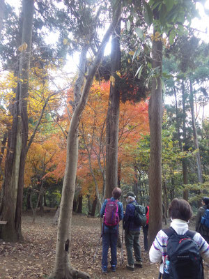 大丸山