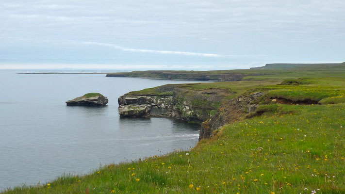côte est de la péninsule de Skagaheidi