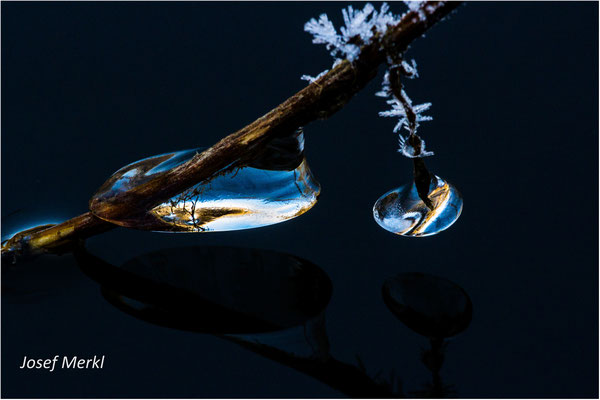 Eiszauber am Fluss Schwarzach