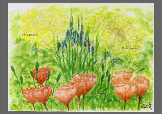 Blumenwiese mit Mohn (Schottland)    /  100,- €