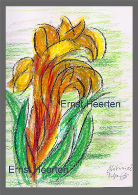 afrikanische Tulpe (Madeira)         /   85.-€