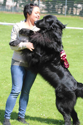 Avaro von der Tauberklinge