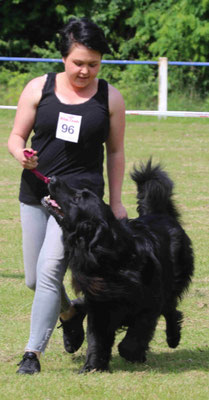 Ein Bild von einem Mensch-Hund-Team