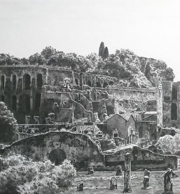 Palatino e Foro Romano pc.