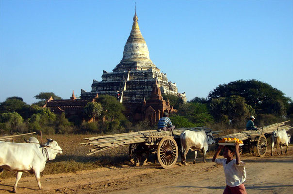 Pagode in Bagan mit Transportern
