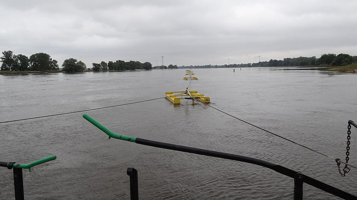 Die Elbe mit hohem Wasserstand von einer Gierfähre am langen Seil fotografiert