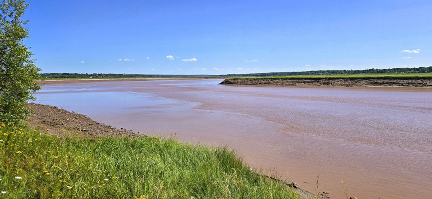 Das Wasser des Petitcodiac fliesst hier noch Richtung Meer....