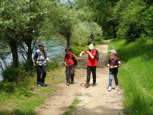 Wandern an der Reuss....
