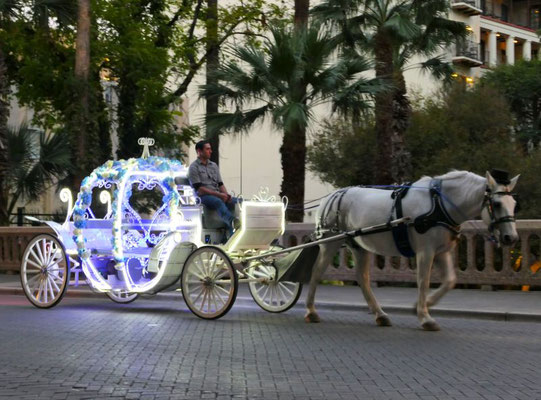 Einige Touristen machen abends noch eine Stadtrundfahrt in der Cinderella-Kutsche