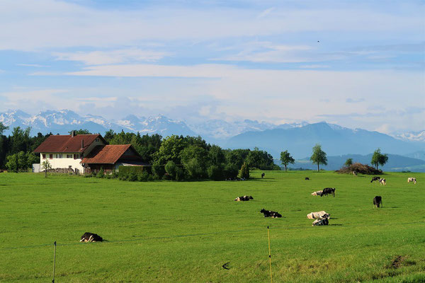 Das 'Heuli' in Abtwil