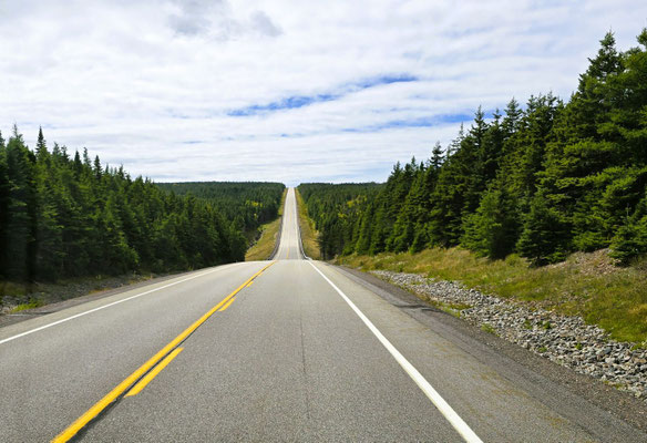 Lange Fahrstrecken durch Wald - ohne Aussicht
