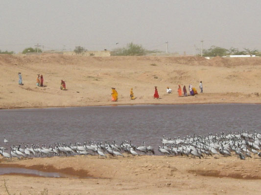 Wasser wird von den Mädchen/Frauen über Kilometer nach Hause getragen