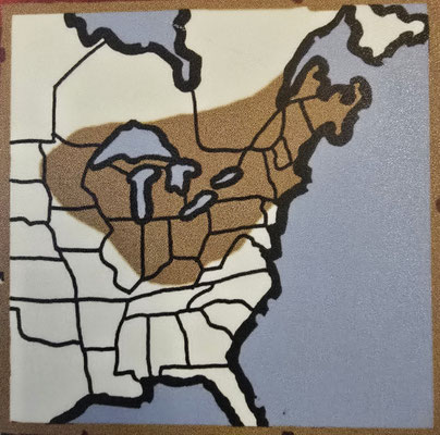 Maple Syrup wird hauptsächlich in Nova Scotia, New Brunswick, Québec, Ontario und Vermont hergestellt