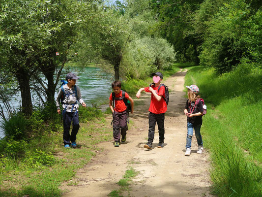 Wandern an der Reuss....