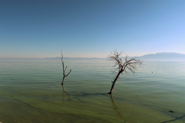 Lago Chapala - leider sehr verschmutzt - baden nicht möglich!