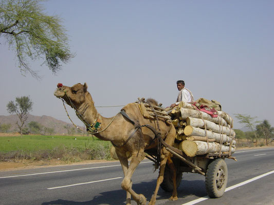 Holztransport auf Indisch