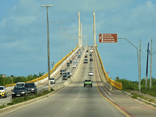 Ponte Newton Navarro
