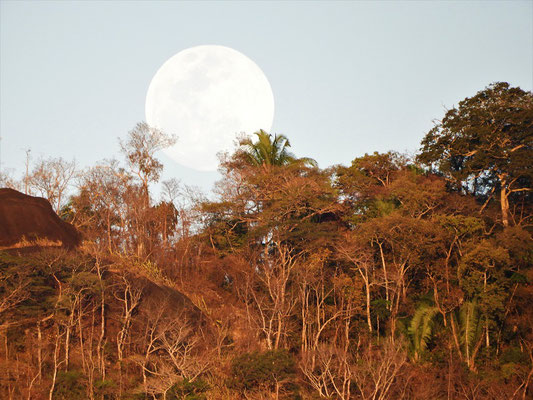 Vollmond im Camping Rancho Grande