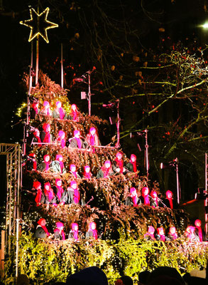 ....der singende Weihnachtsbaum....