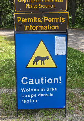 Im zweiten Camping sind die Wölfe unterwegs