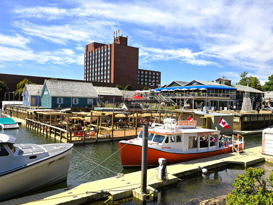 Am Hafen....