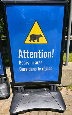 Die Park-Ranger weisen uns auf die Bären im Park hin