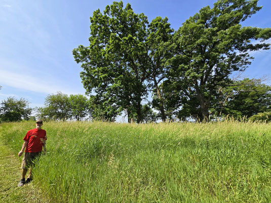 Wandern durch die Savanne....
