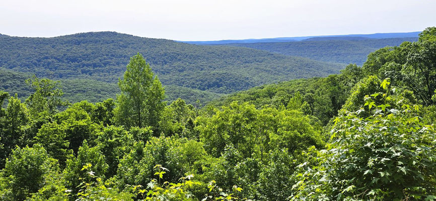 ....die einzige Aussicht auf die Ozark Mountains