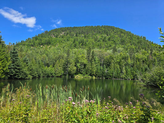 Sugar Loaf Mountain