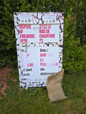 Da wir wegen der anhaltenden Trockenheit kein Lagerfeuer machen dürfen, deponieren wir unser weitgereistes Holz in diesem Container