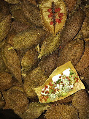 Eingedickte Milch mit Achiote - wird aus der Frucht der Nuss gewonnen