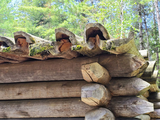 ....mit interessanten 'Baum-Ziegeln'