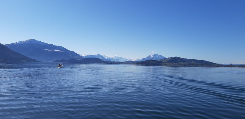 Am wunderschönen Zugersee