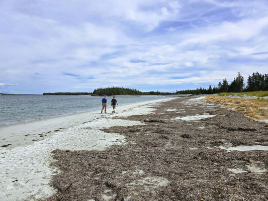Wanderung um die Taylors Head Halbinsel....