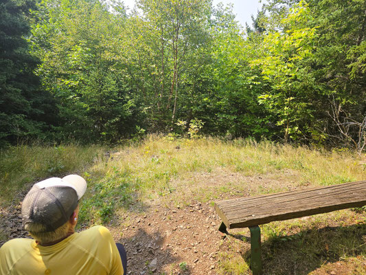 Wanderung im Cape Breton Highlands National Park - Offizieller Aussichtspunkt mit 'wunderbarer Aussicht' auf Bäume....