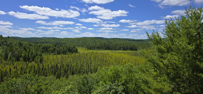 ....mit Blick über die weite Waldlandschaft Kanadas