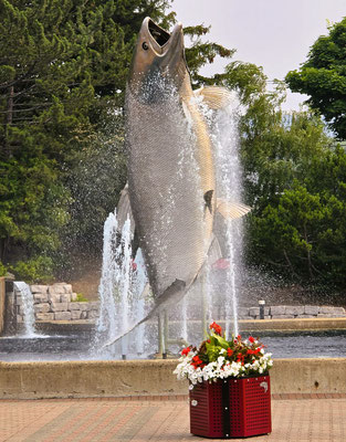 The Big Salmon/Der Grosse Lachs