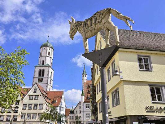 Das Esel-Denkmal auf dem Marktplatz erinnert an den Streit um "des Esels Schatten" einem Roman von Christoph Martin Wieland